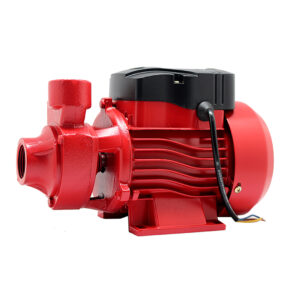 VBW WATER PUMP QB - 60 (1X1)” 0.5HP
