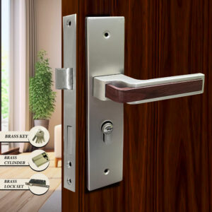 CAUSTE M LOCK S D (KEY, CYLINDER & LOCK SET) BRASS - 5882 MSN WD MEDIUM