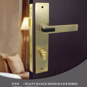 FEALTY M LOCK LARGE S D B SERIES MAB AB AZ719-823