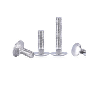 BOLT STAINLESS STEEL BIG HEAD (304)
