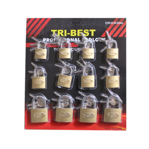 CARD PAD LOCK TRI-BEST IRON C KEY 12PCS CHINA