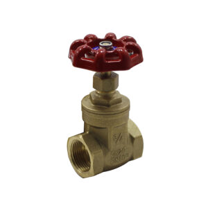 GATE VALVE DOUBLE LIN BRASS LL 4031 1 CHINA